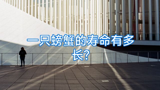 一只螃蟹的寿命有多长?