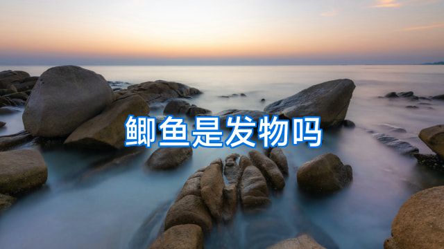 鲫鱼是发物吗
