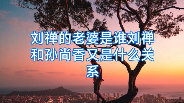 刘禅的老婆是谁刘禅和孙尚香又是什么关系