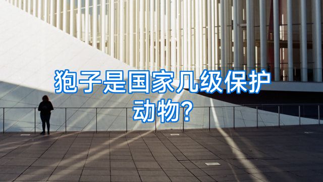 狍子是国家几级保护动物?