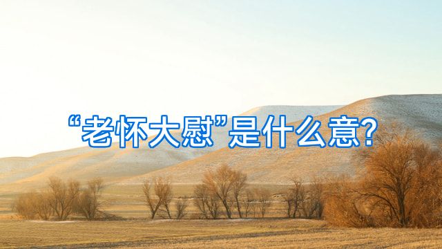 “老怀大慰”是什么意?