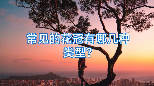 常见的花冠有哪几种类型?