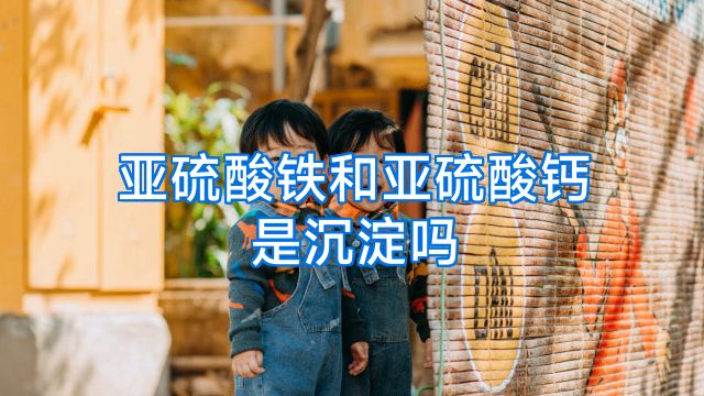 亚硫酸铁和亚硫酸钙是沉淀吗