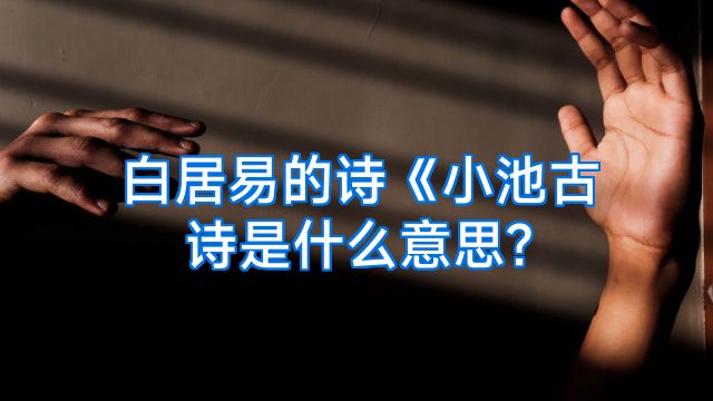 白居易的诗《小池古诗是什么意思?