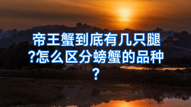 帝王蟹到底有几只腿?怎么区分螃蟹的品种?