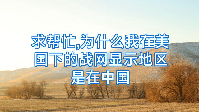 求帮忙,为什么我在美国下的战网显示地区是在中国