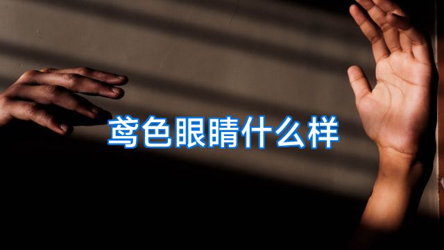 鸢色眼睛什么样