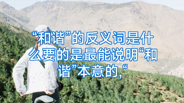 “和谐”的反义词是什么要的是最能说明“和谐”本意的,“