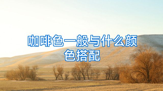 咖啡色一般与什么颜色搭配