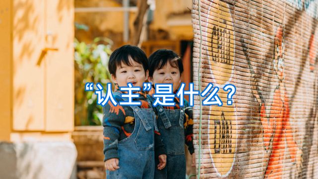 “认主”是什么?