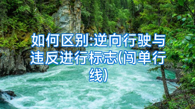 如何区别:逆向行驶与违反进行标志(闯单行线)