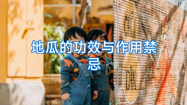 地瓜的功效与作用禁忌
