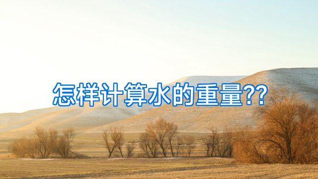 怎样计算水的重量??