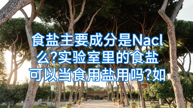 食盐主要成分是Nacl么?实验室里的食盐可以当食用盐用吗?如