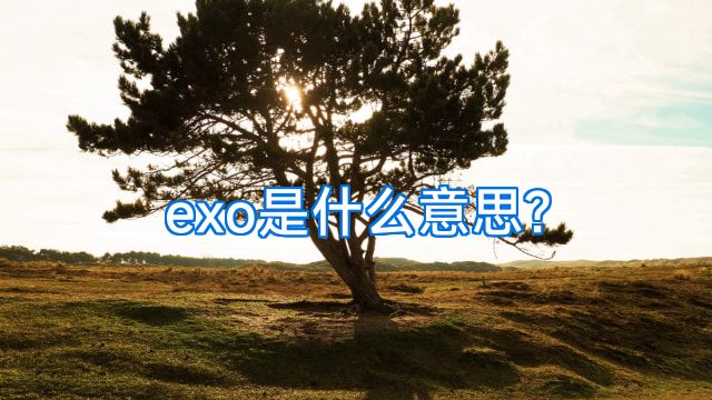 exo是什么意思?