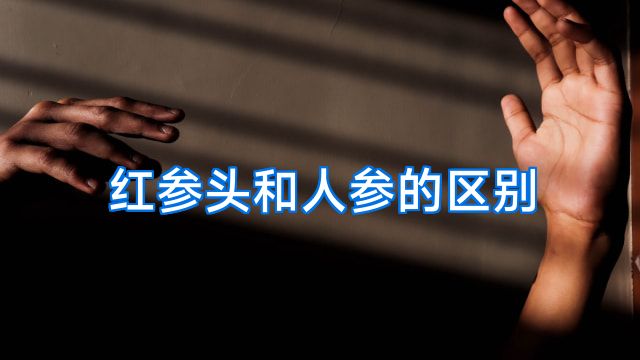 红参头和人参的区别