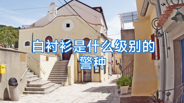 白衬衫是什么级别的警种
