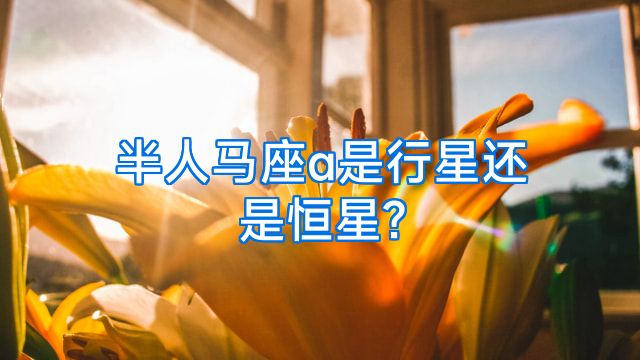 半人马座α是行星还是恒星?