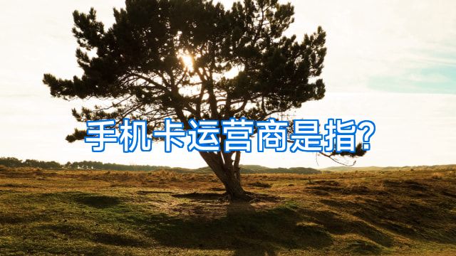 手机卡运营商是指?