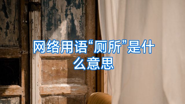 网络用语“厕所”是什么意思