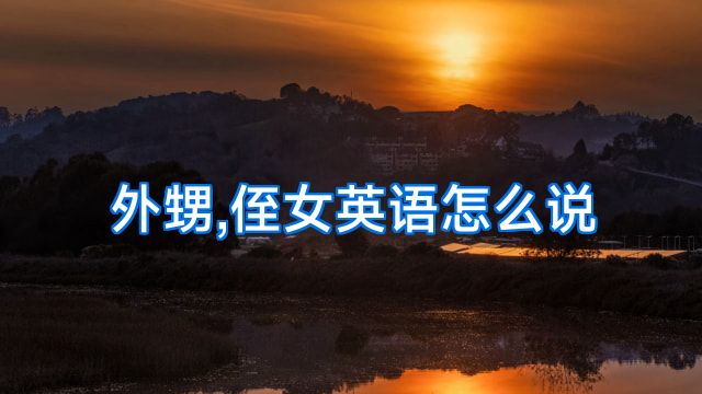 外甥,侄女英语怎么说