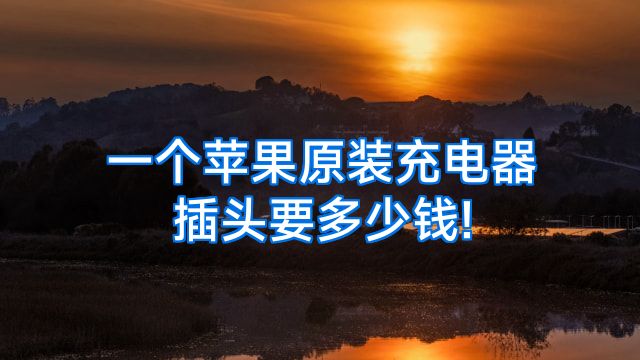 一个苹果原装充电器插头要多少钱!