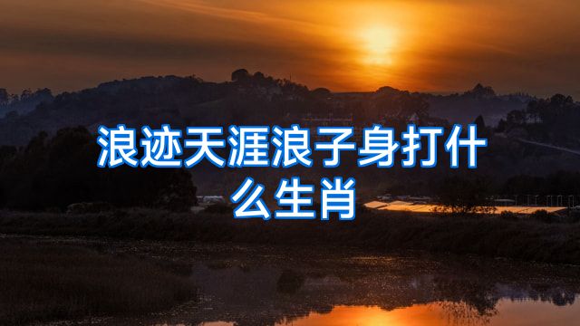 浪迹天涯浪子身打什么生肖