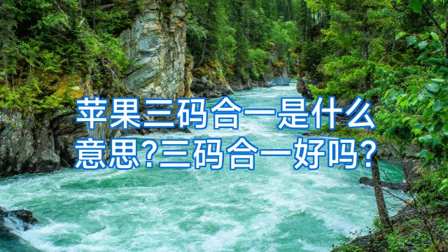 苹果三码合一是什么意思?三码合一好吗?