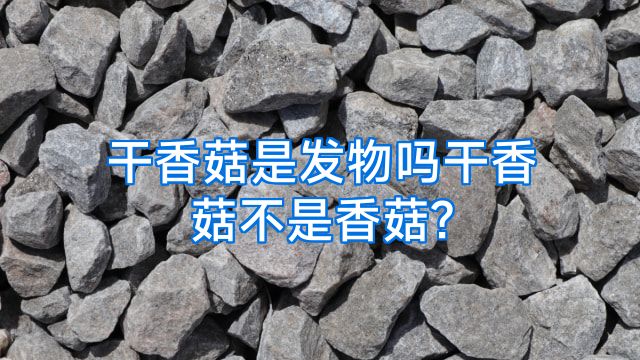 干香菇是发物吗干香菇不是香菇?