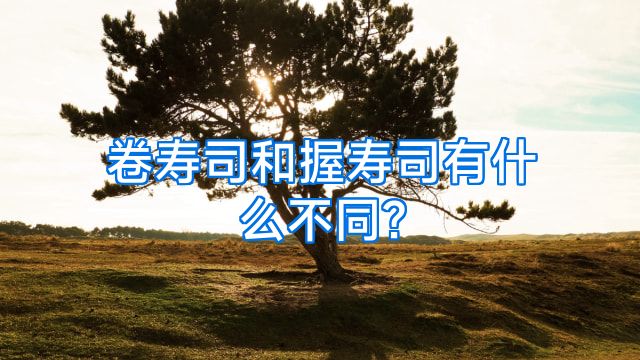 卷寿司和握寿司有什么不同?