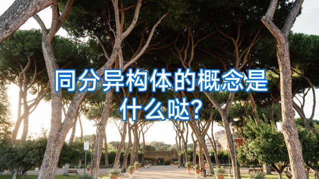 同分异构体的概念是什么哒?