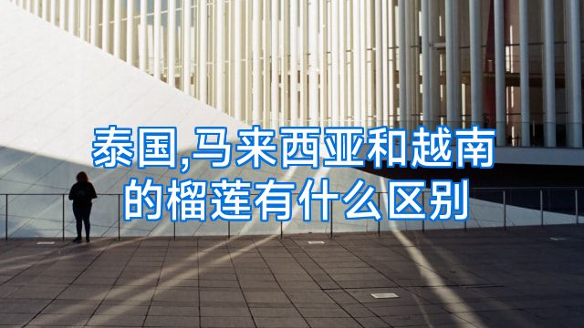 泰国,马来西亚和越南的榴莲有什么区别
