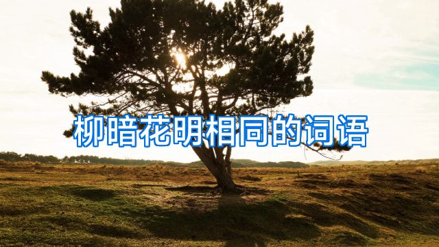 柳暗花明相同的词语