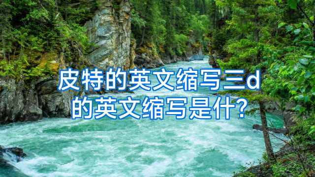 皮特的英文缩写三d的英文缩写是什?