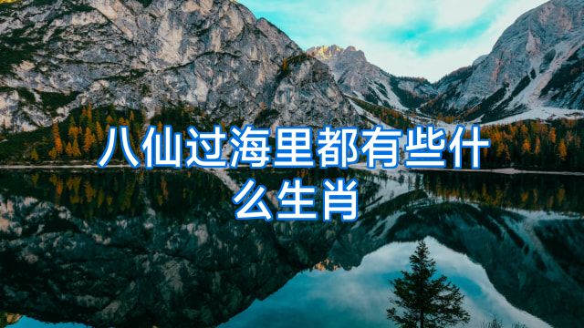 八仙过海里都有些什么生肖