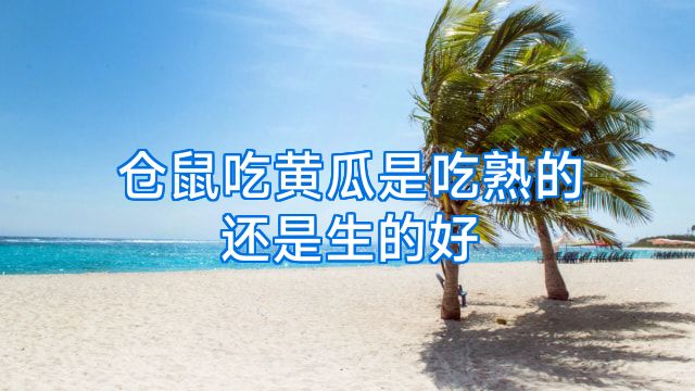 仓鼠吃黄瓜是吃熟的还是生的好