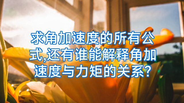求角加速度的所有公式,还有谁能解释角加速度与力矩的关系?