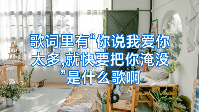 歌词里有“你说我爱你太多,就快要把你淹没”是什么歌啊