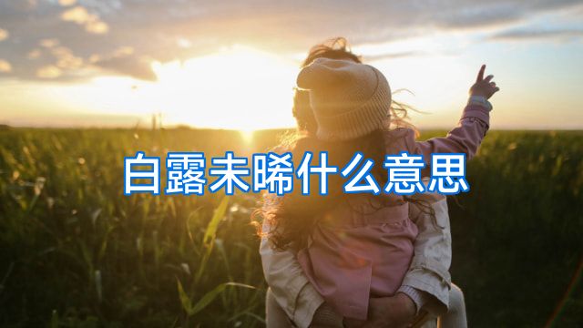白露未晞什么意思
