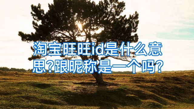 淘宝旺旺id是什么意思?跟昵称是一个吗?
