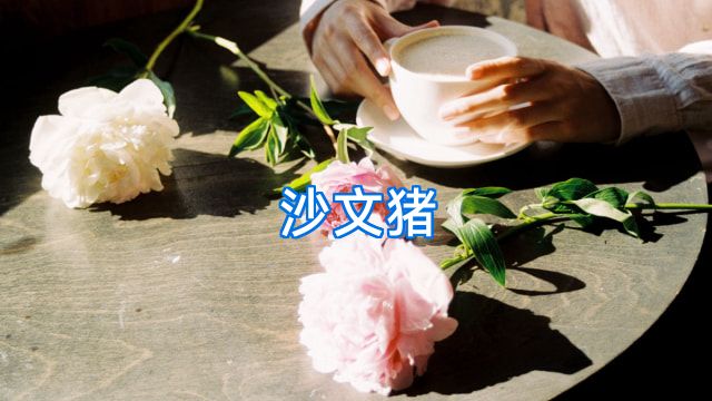 沙文猪
