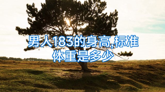 男人183的身高,标准体重是多少