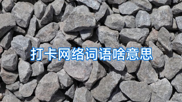 打卡网络词语啥意思
