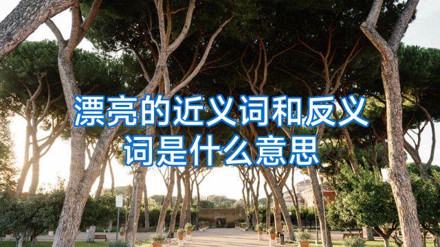 漂亮的近义词和反义词是什么意思