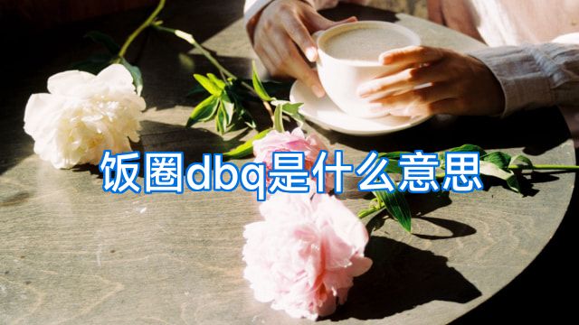 饭圈dbq是什么意思
