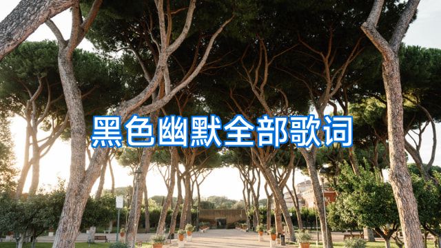 黑色幽默全部歌词