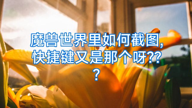 魔兽世界里如何截图,快捷键又是那个呀???