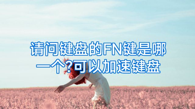 请问键盘的FN键是哪一个?可以加速键盘