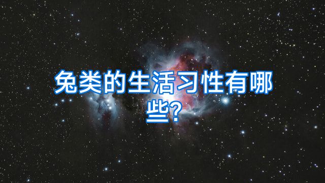 兔类的生活习性有哪些?