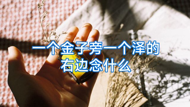 一个金子旁一个泽的右边念什么